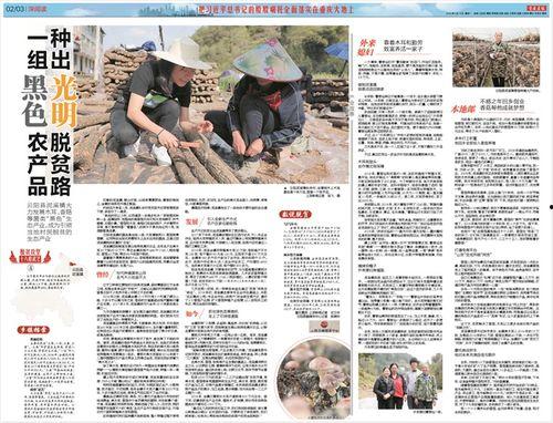 竹山农香最新爆料新闻,最新爆料新闻背后的真相  第2张