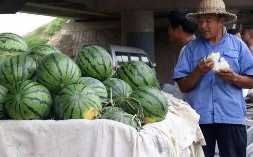 宁乡网红吃瓜事件,揭秘网络舆论背后的真相与争议 第3张 宁乡网红吃瓜事件,揭秘网络舆论背后的真相与争议 第3张