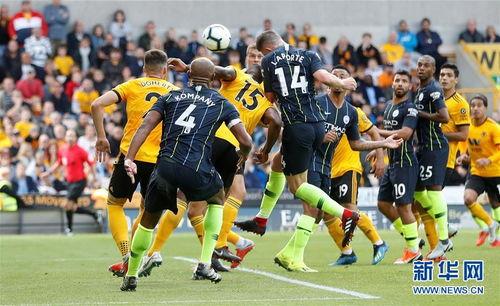 爆料狼队打假赛视频大全,一场足球界的悬疑大剧  第2张