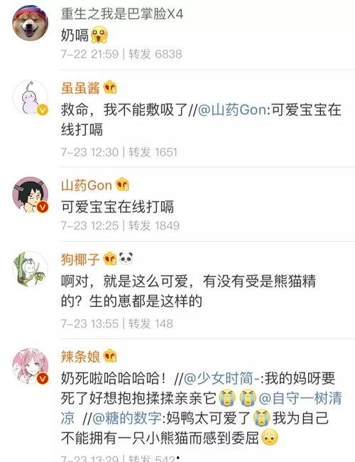 爆料哈哈的视频大全在线观看,海量搞笑瞬间，在线观看乐翻天  第3张