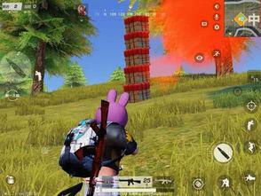 荒野最新爆料,揭秘神秘事件背后的真相