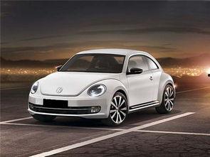 沈旭爆料甲壳虫视频大全,甲壳虫视频大全背后的精彩瞬间  第3张