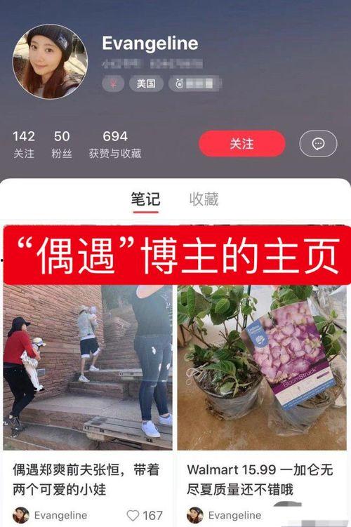 中山王晓玮爆料案件最新,揭秘背后惊人真相  第3张